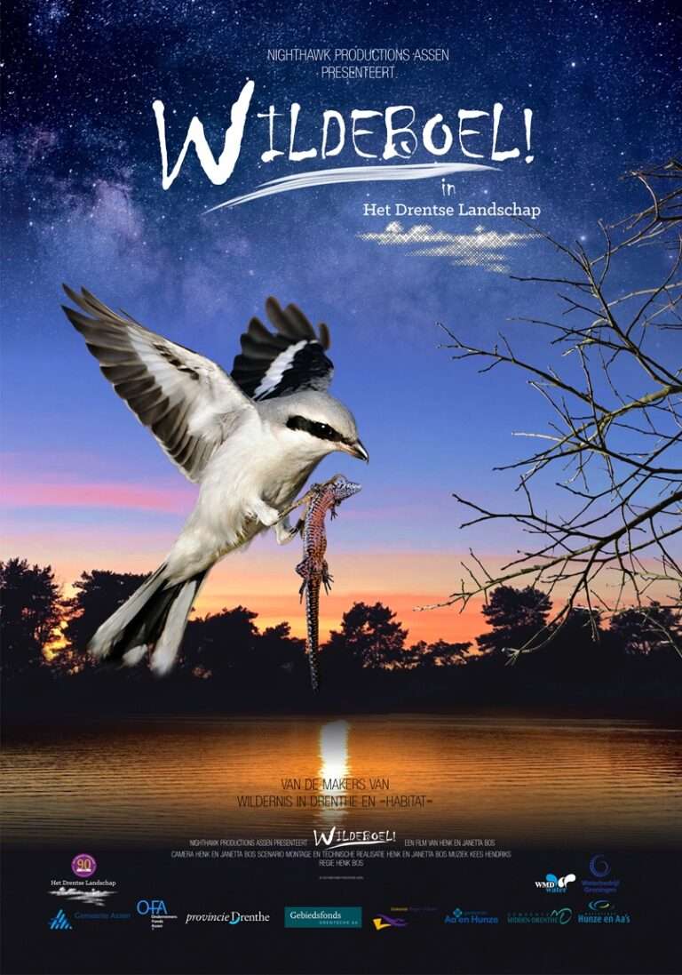 Wildeboel